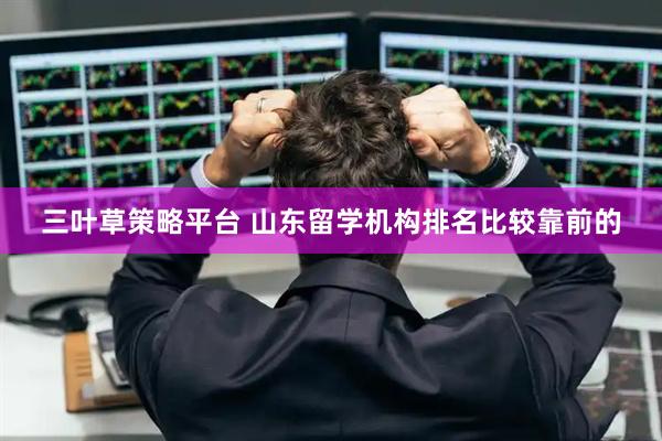 三叶草策略平台 山东留学机构排名比较靠前的