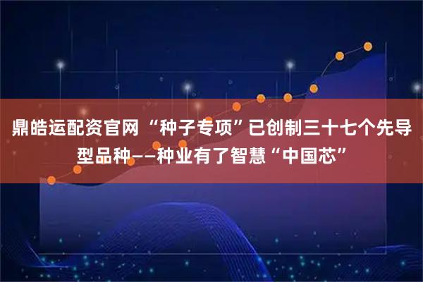 鼎皓运配资官网 “种子专项”已创制三十七个先导型品种——种业有了智慧“中国芯”