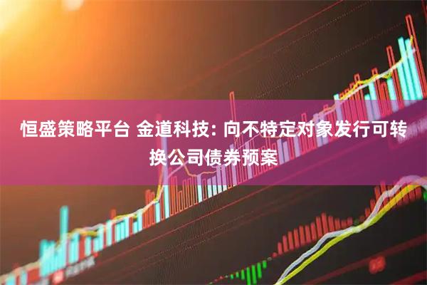 恒盛策略平台 金道科技: 向不特定对象发行可转换公司债券预案