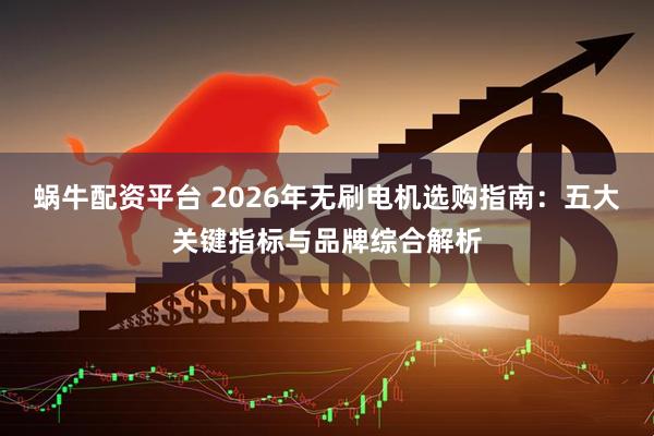 蜗牛配资平台 2026年无刷电机选购指南：五大关键指标与品牌综合解析