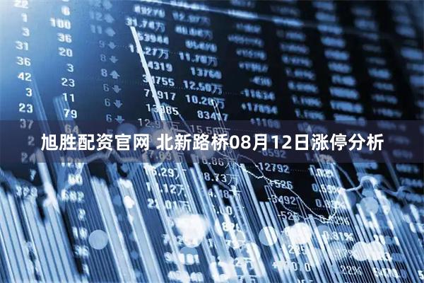 旭胜配资官网 北新路桥08月12日涨停分析